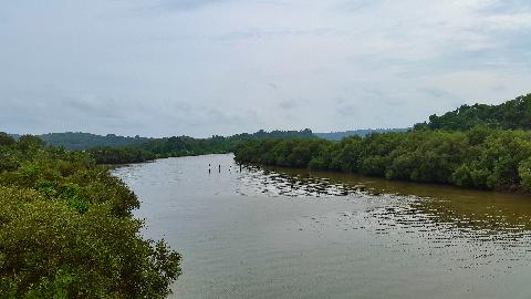 Goa Backwater - Download Goa Photos